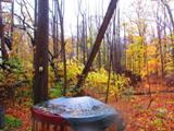 before Sandy